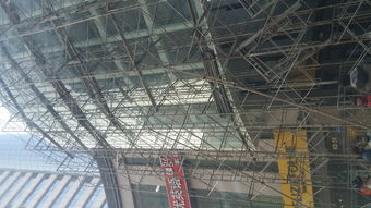 哈爾濱小麥王報價 廠家